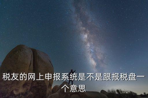 稅友的網上申報系統是不是跟報稅盤一個意思