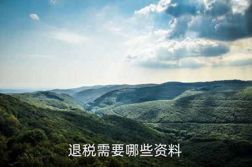 退抵稅都需要什么資料，退抵稅款申請需要什么資料