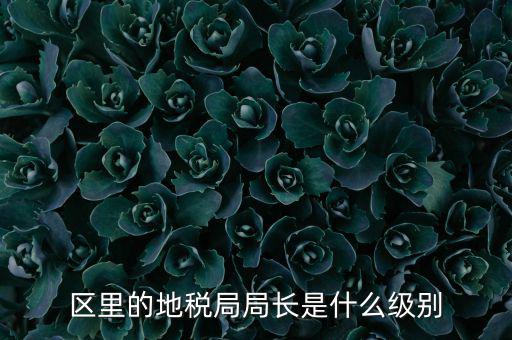 區里的地稅局局長是什么級別