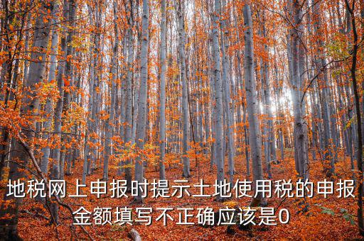 地稅網上申報時提示土地使用稅的申報金額填寫不正確應該是0