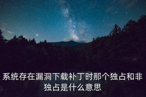 系統存在漏洞下載補丁時那個獨占和非獨占是什么意思