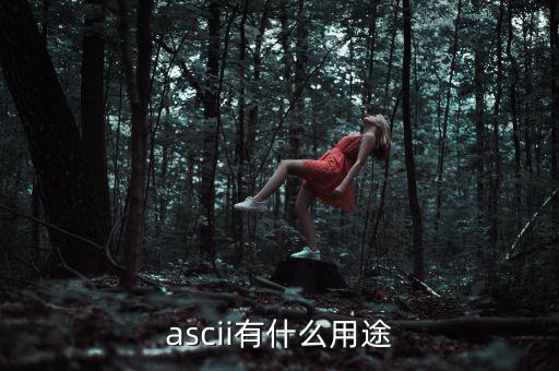 稅優識別碼有什么用，ascii有什么用途