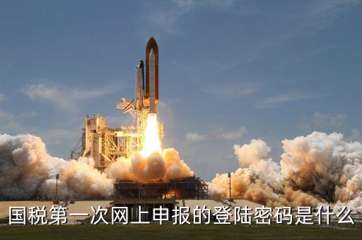 國稅第一次網上申報的登陸密碼是什么