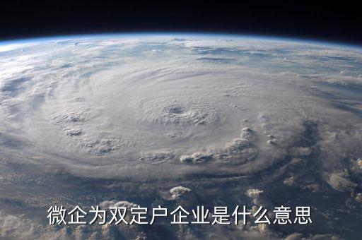 微企為雙定戶企業是什么意思