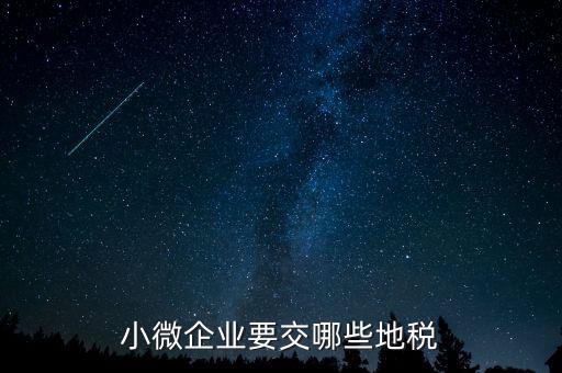 小微企業要交哪些地稅