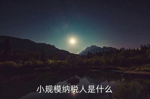 小規模納稅人是什么