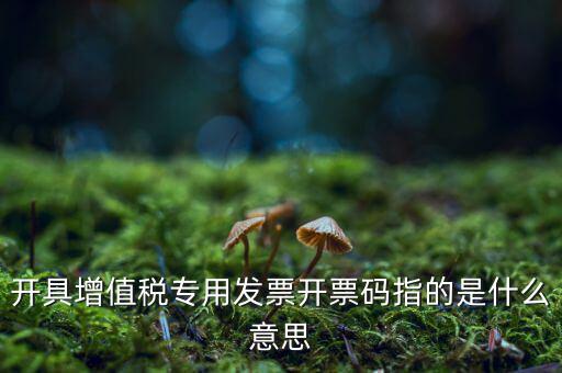 開具增值稅專用發票開票碼指的是什么意思