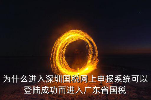 為什么登錄深圳市稅務局，用統一社會信用代碼登不進去深圳國稅局網站說納稅人識別號不