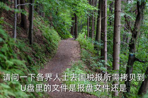 稅務報盤文件是什么，請問一下各界人士去國稅報所需拷貝到U盤里的文件是報盤文件還是