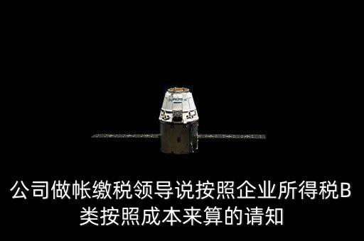 公司做帳繳稅領導說按照企業所得稅B類按照成本來算的請知