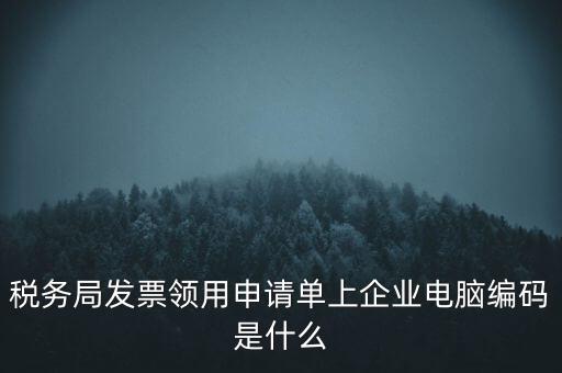 稅務局發票領用申請單上企業電腦編碼是什么