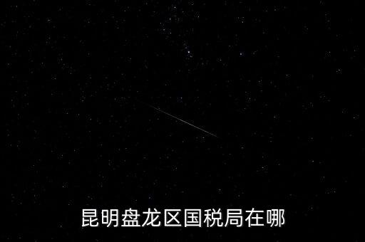 昆明盤龍區國稅局在哪