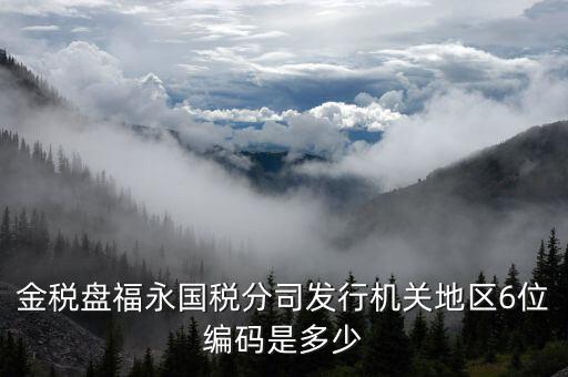 金稅盤福永國稅分司發行機關地區6位編碼是多少