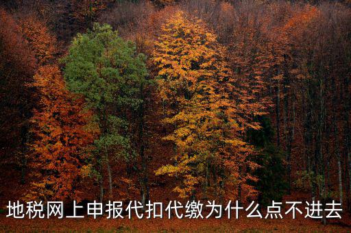 地稅從租計征為什么無法點開，地稅網上申報代扣代繳為什么點不進去