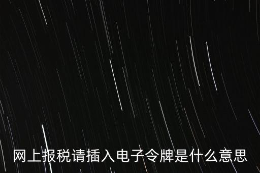 網上報稅請插入電子令牌是什么意思