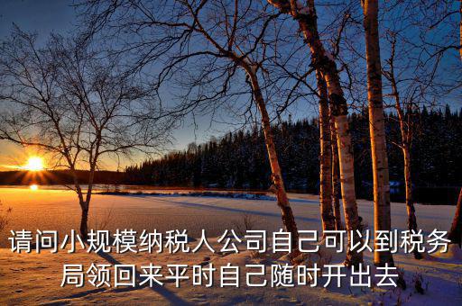 請問小規模納稅人公司自己可以到稅務局領回來平時自己隨時開出去