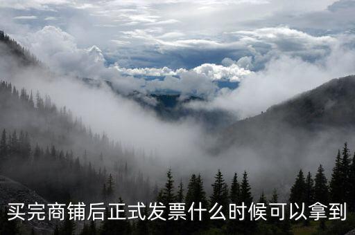 買完商鋪后正式發票什么時候可以拿到
