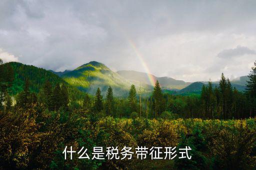 個人所得稅帶征是什么意思，什么是稅務帶征形式