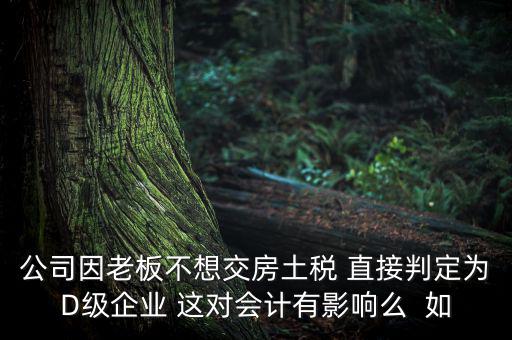 公司因老板不想交房土稅 直接判定為D級企業(yè) 這對會計(jì)有影響么  如