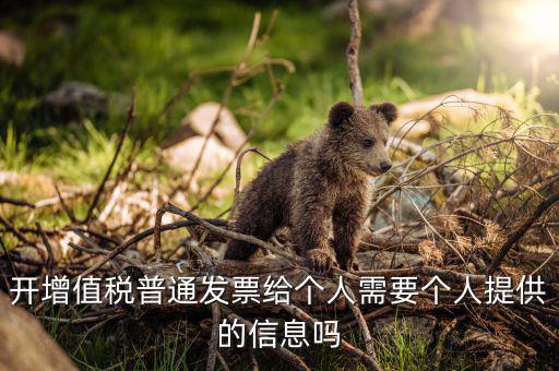 開增值稅普通發票給個人需要個人提供的信息嗎