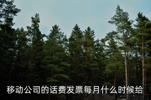 移動公司的話費發票每月什么時候給