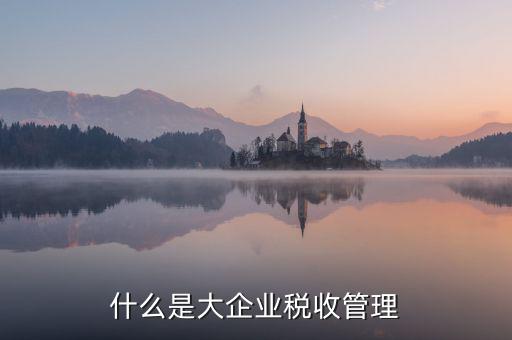 什么是大企業稅收管理