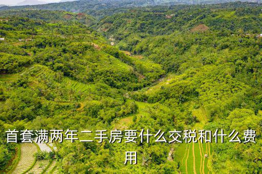 賣滿2年的房子交什么稅，商品房滿2年了出售的話需要交哪些稅詳細點