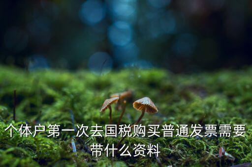 個體戶第一次去國稅購買普通發票需要帶什么資料