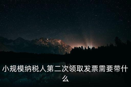 小規模納稅人第二次領取發票需要帶什么