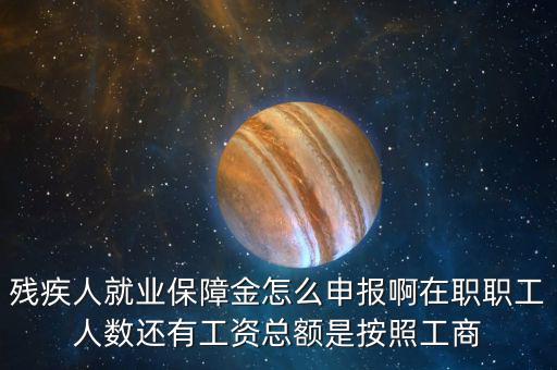 殘疾人就業保障金怎么申報啊在職職工人數還有工資總額是按照工商