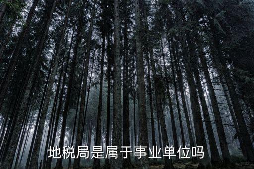 地稅屬于什么單位，地稅局是屬于事業單位嗎