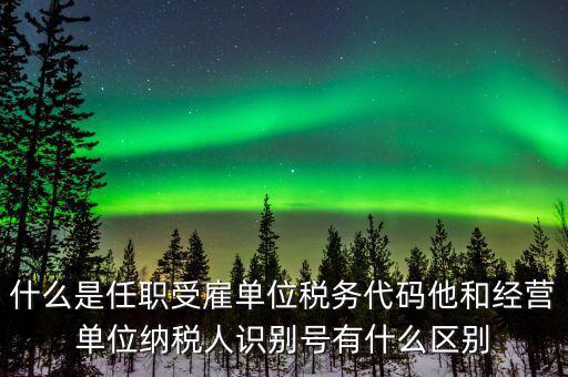 報稅自然人識別號是什么，個稅申報顯示存在相同唯一識別號是什么意思