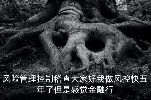 稽查風險管控是什么意思，股票中1風險提示 違規稽查是什么意思