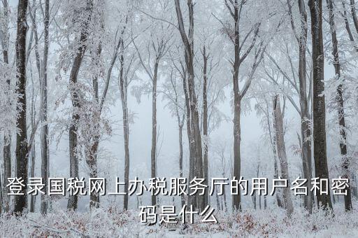 什么是電子稅務局登錄賬號，登錄國稅網上辦稅服務廳的用戶名和密碼是什么