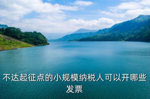 不達起征點的小規模納稅人可以開哪些發票