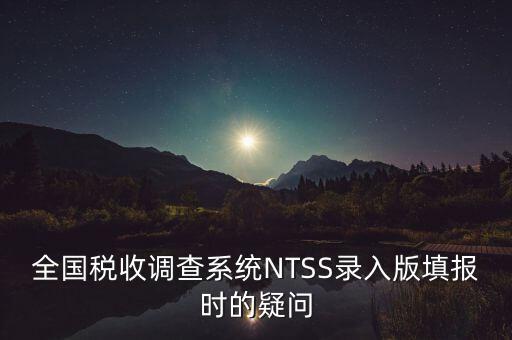 全國稅收調查系統NTSS錄入版填報時的疑問