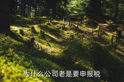為什么要稅務申報，為什么公司老是要申報稅