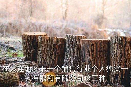 在大連地區干一個銷售行業個人獨資一人有限和有限公司這三種