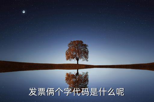 發票倆個字代碼是什么呢