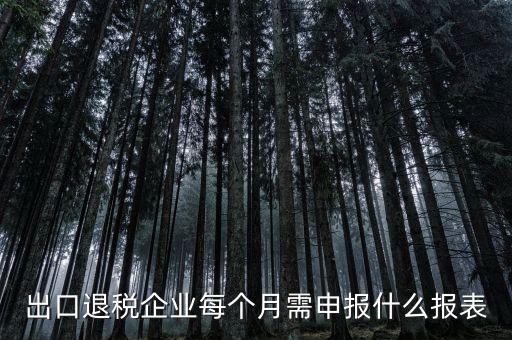 出口退稅每月需做什么申報，外貿(mào)企業(yè)第一次申報出口退稅需要準備哪些資料