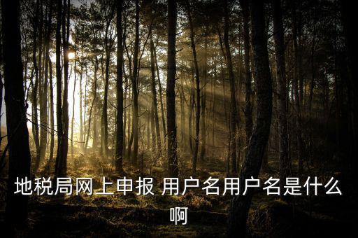 地稅局網上申報 用戶名用戶名是什么啊