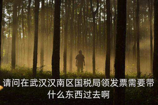 請問在武漢漢南區國稅局領發票需要帶什么東西過去啊