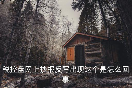 稅控盤網上抄報反寫出現這個是怎么回事