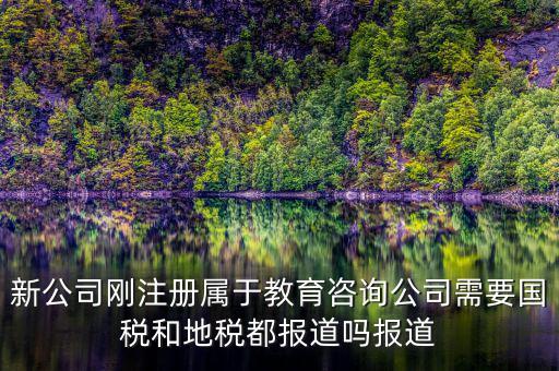 教育咨詢納什么稅，請問從教育事業的公司要納稅嗎