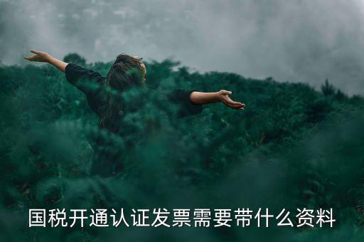 國稅開通認證發票需要帶什么資料