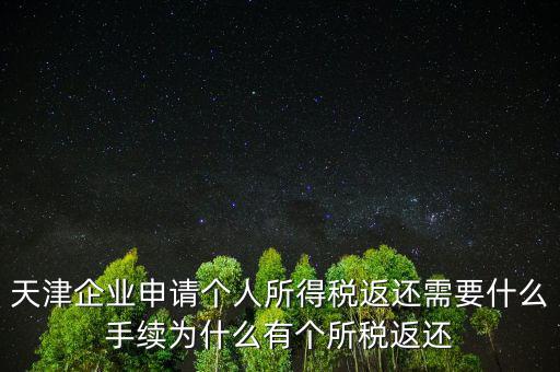 天津企業申請個人所得稅返還需要什么手續為什么有個所稅返還