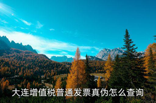 大連增值稅普通發票真偽怎么查詢