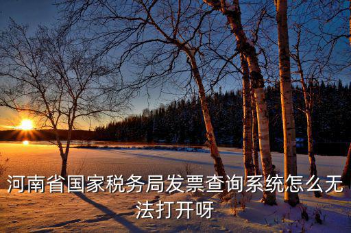 河南一體化辦稅為什么辦不成，河南省國(guó)家稅務(wù)局發(fā)票查詢系統(tǒng)怎么無(wú)法打開(kāi)呀