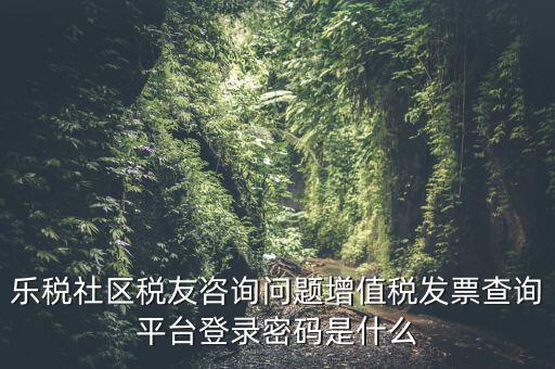 發票認證平臺登陸密碼是什么，國稅局發票軟件里用戶代碼和密碼是什么