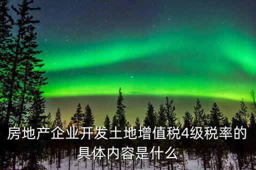 房地產企業開發土地增值稅4級稅率的具體內容是什么